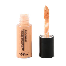 35g Hide Blemish face Care Concealer Palette whitening Liquid Concealer Cream Makeup Cream Contouring Makeup Base LZH7 UBY