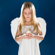 Adults Kids Feather Fairy Angel Wings Hen Night Party Fancy Dress Costume UBY