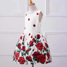 Baby Girls Dresses Kids Clothes Brand Children Dress for Girls Clothes Rose Flower Dobby Princess Dress Christmas 3-8Y PY2 UBY
