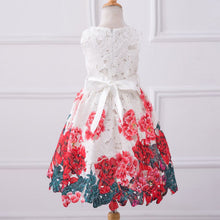 Baby Girls Dresses Kids Clothes Brand Children Dress for Girls Clothes Rose Flower Dobby Princess Dress Christmas 3-8Y PY2 UBY